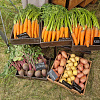 WhatsApp Image 2024-08-21 at 10.33.36.jpeg
